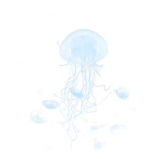 透气图片大全_透气图片素材【png免费下载】-90设计网