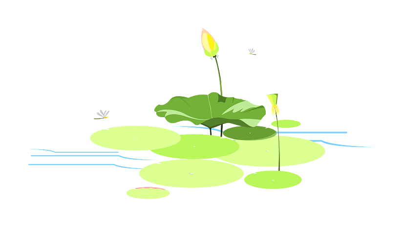 炒肉手绘荷花闪电加油卡通手绘荷花荷花鱼荷花图案荷花画荷花荷叶荷花