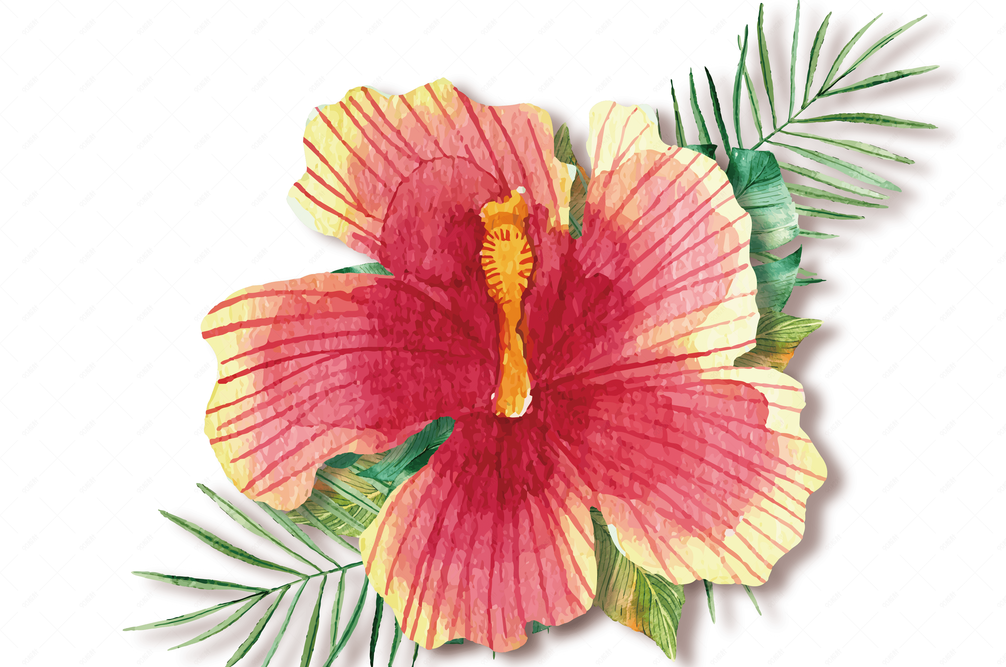 水彩绿植花卉花朵【电商元素png】-90设计网