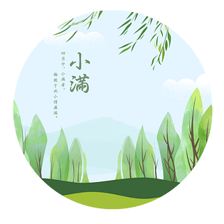 小满节气绿色树叶