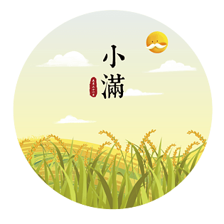 小满手绘饱满麦穗