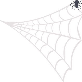 蜘蛛网蛛丝蜘蛛网元素