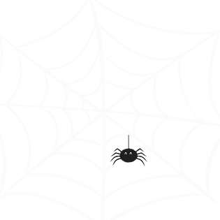 蜘蛛网图片大全