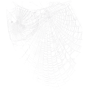 蜘蛛图片大全_蜘蛛图片素材【png免费下载】-90设计网