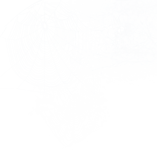 蜘蛛网网子蜘蛛网元素