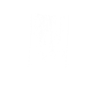 透明底纹图片大全