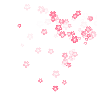 樱花图案图片大全