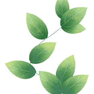 手绘小清新治愈水彩纹理绿叶