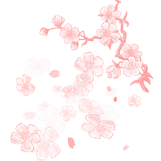 樱花素材图片大全_樱花素材图片素材【png免费下载】-90设计网