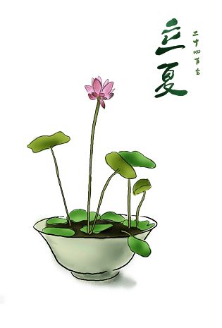 中国水墨手绘碗莲