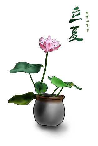 中国水墨手绘碗莲