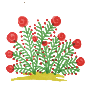 pngpsd2000*2000小清新的花草边框pngpsd2000*2000卡通小草头部装饰