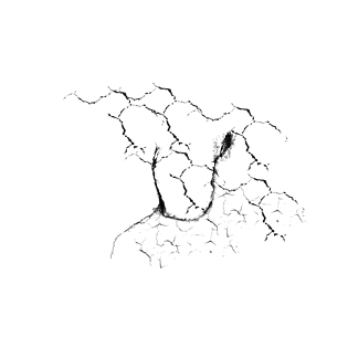 干涸裂纹裂痕矢量元素