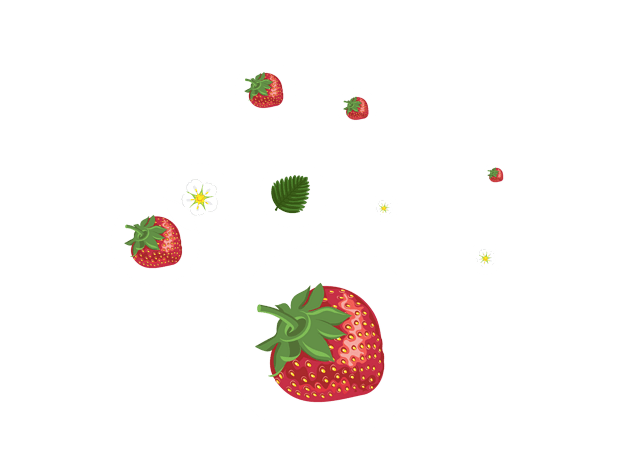 草莓创意图片大全_草莓创意图片素材【png免费下载】-90设计网