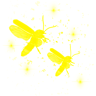 卡通 萤火虫图片大全_卡通 萤火虫图片素材【png免费下载】-90设计网