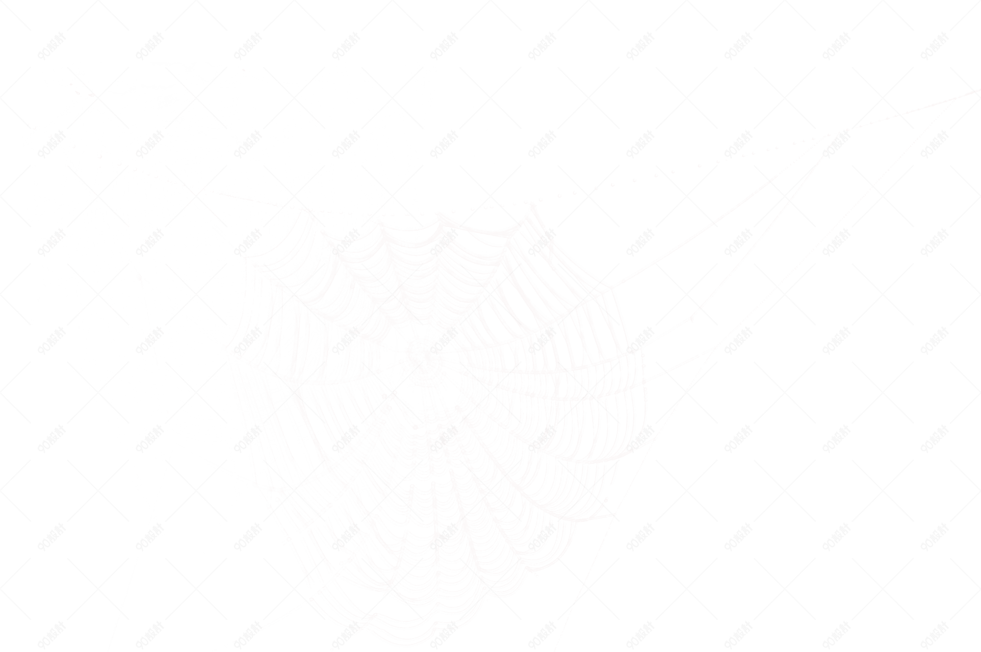 白色网状物蛛线丝效果