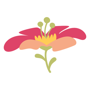 美丽的花朵png素材