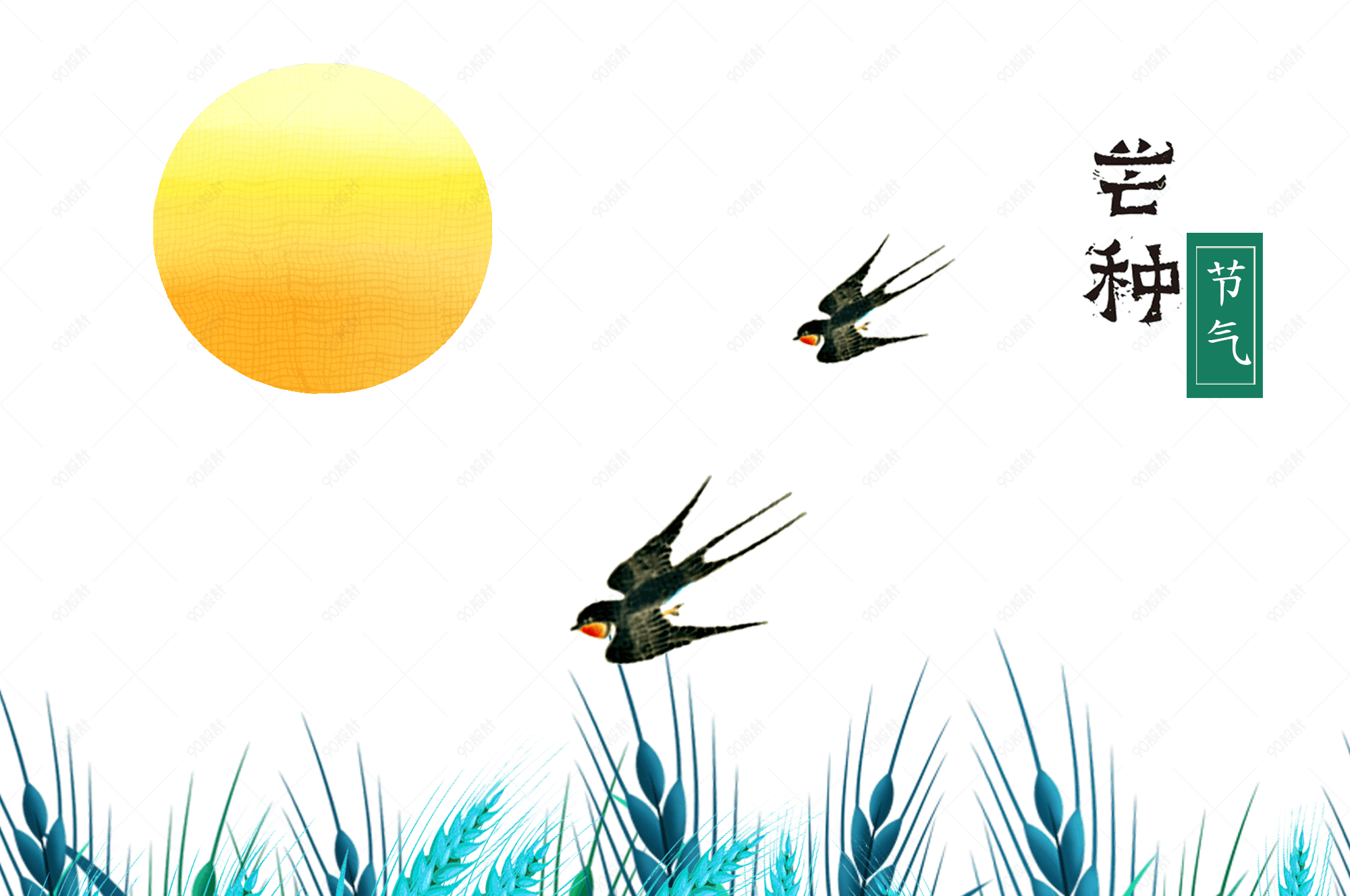 芒种稻谷燕子插画