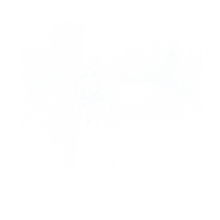 残破白色蜘蛛网效果设计