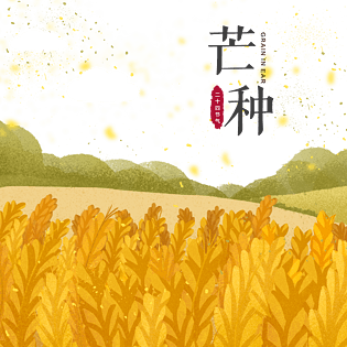 手机屏幕图片大全