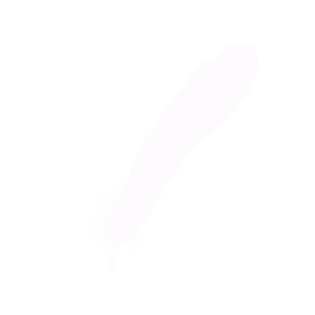 唯美白色羽毛元素