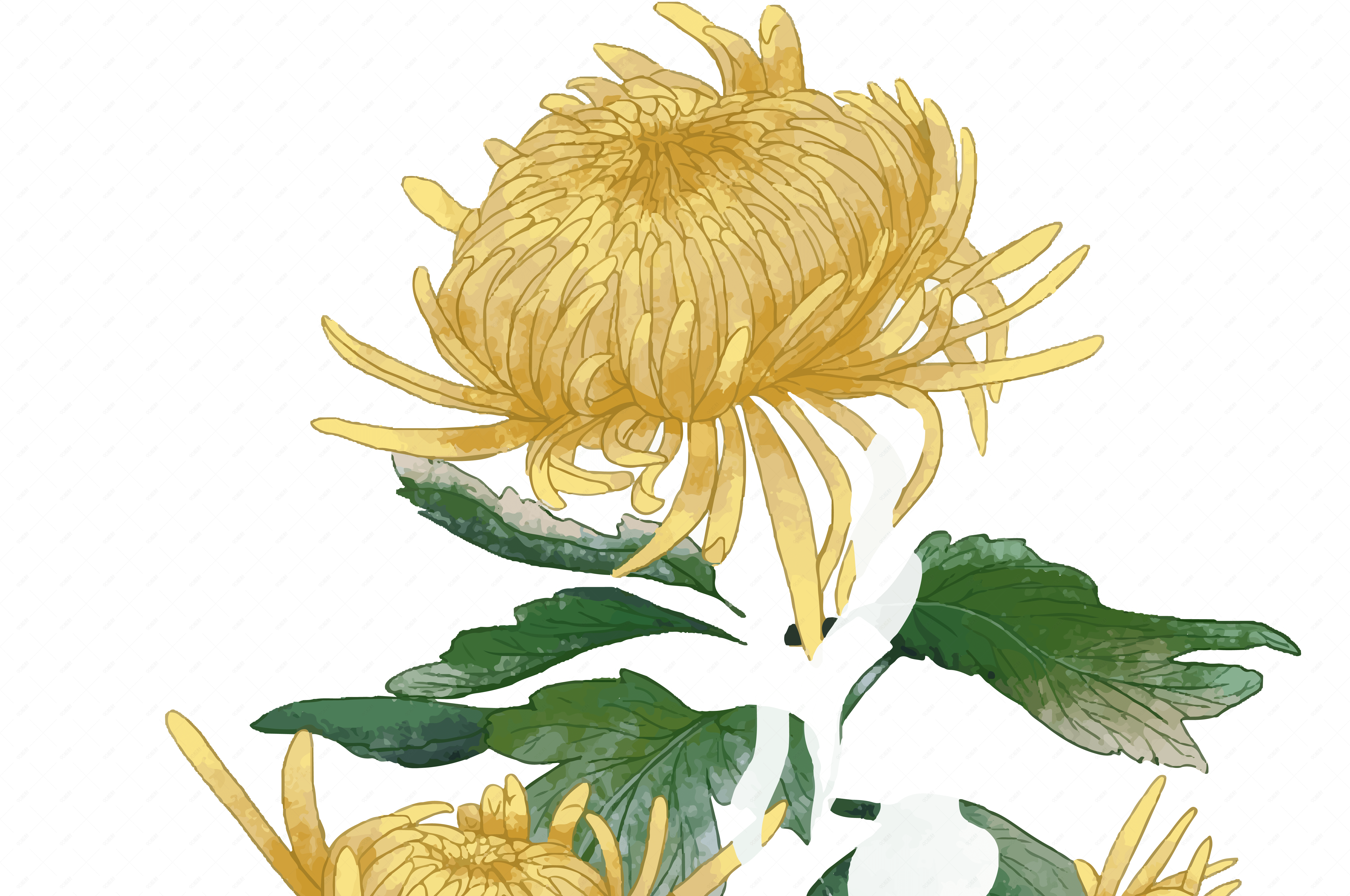 重阳节卡通菊花免抠素材下载