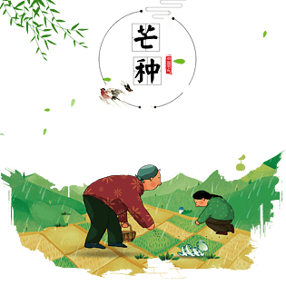 芒种海报图片大全