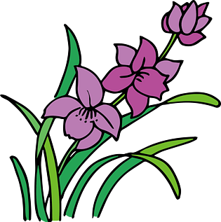 矢量图 兰花 绿色 紫色 插画 原创 设计
