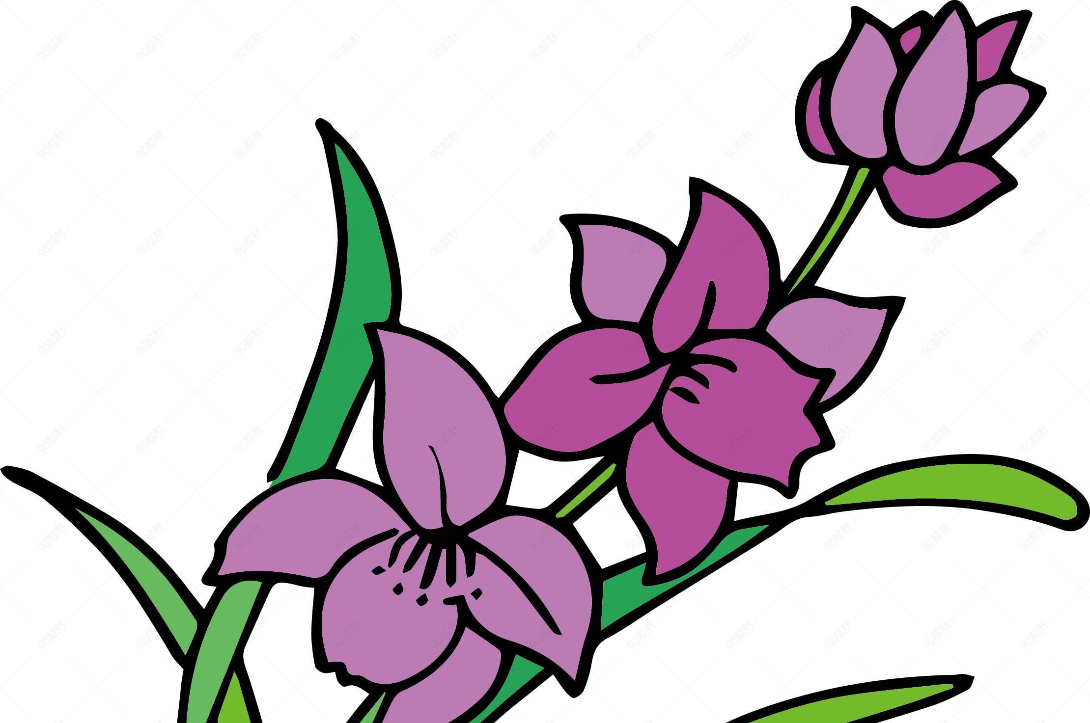 矢量图兰花绿色紫色插画原创设计