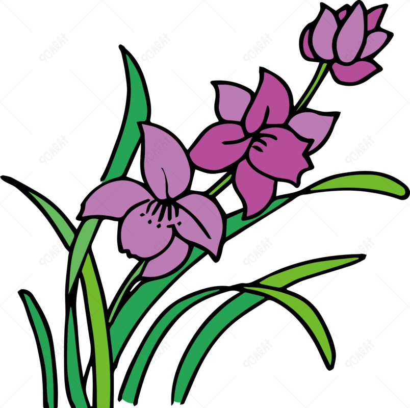 矢量图兰花绿色紫色插画原创设计