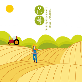 手绘芒种稻田农民