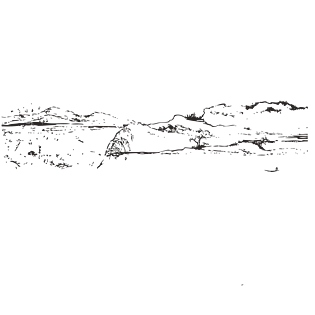 叶装饰底纹免抠下载pngpsd2000*2000神草石斛草免抠下载pngpsd2000*