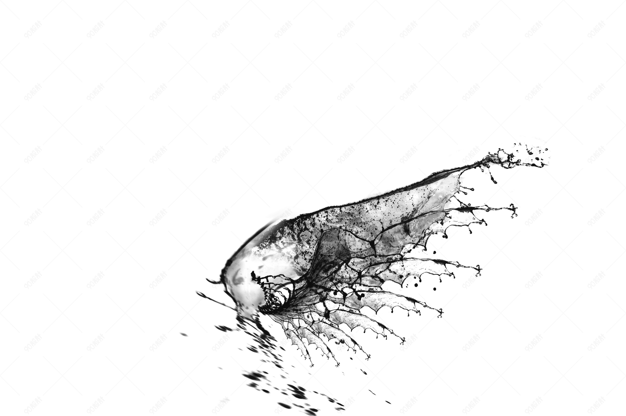 个性泼墨创意绘画