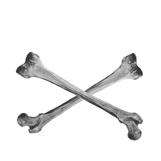 交叉手绘骨头装饰图