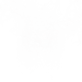 凌乱逼真蜘蛛丝效果