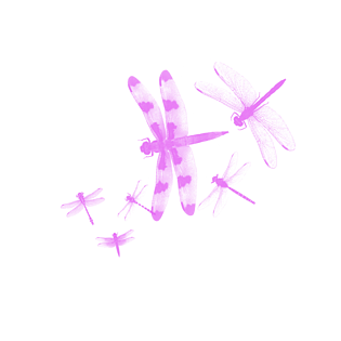 漂亮的紫色蜻蜓设计素材