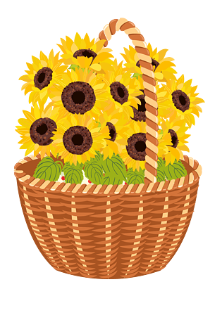 矢量手绘菊花花篮png免费下载