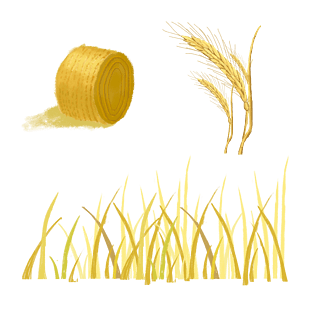 手绘稻谷图片大全