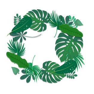 绿叶矢量图图片大全