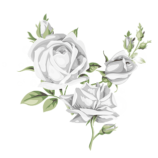 银色玫瑰花浪漫情人节png素材