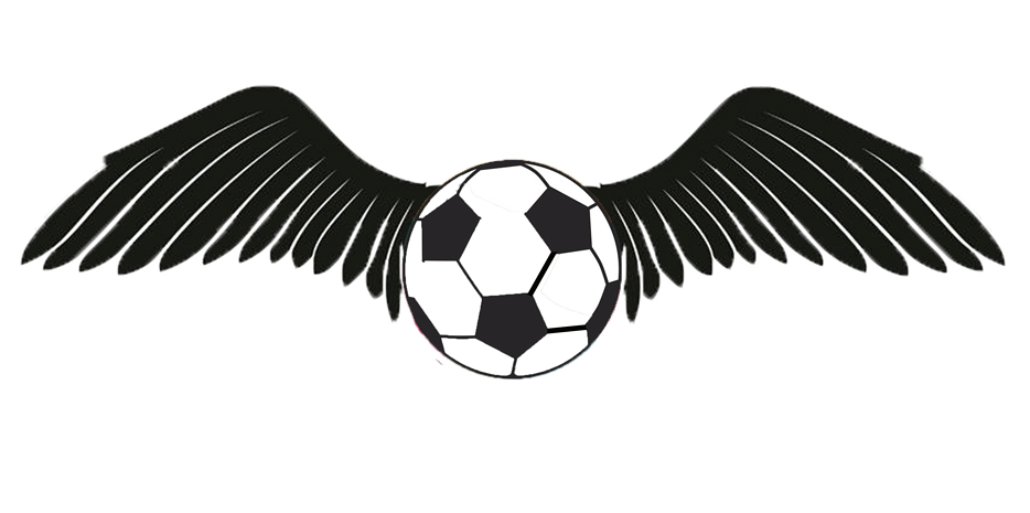 有翅膀的足球素材