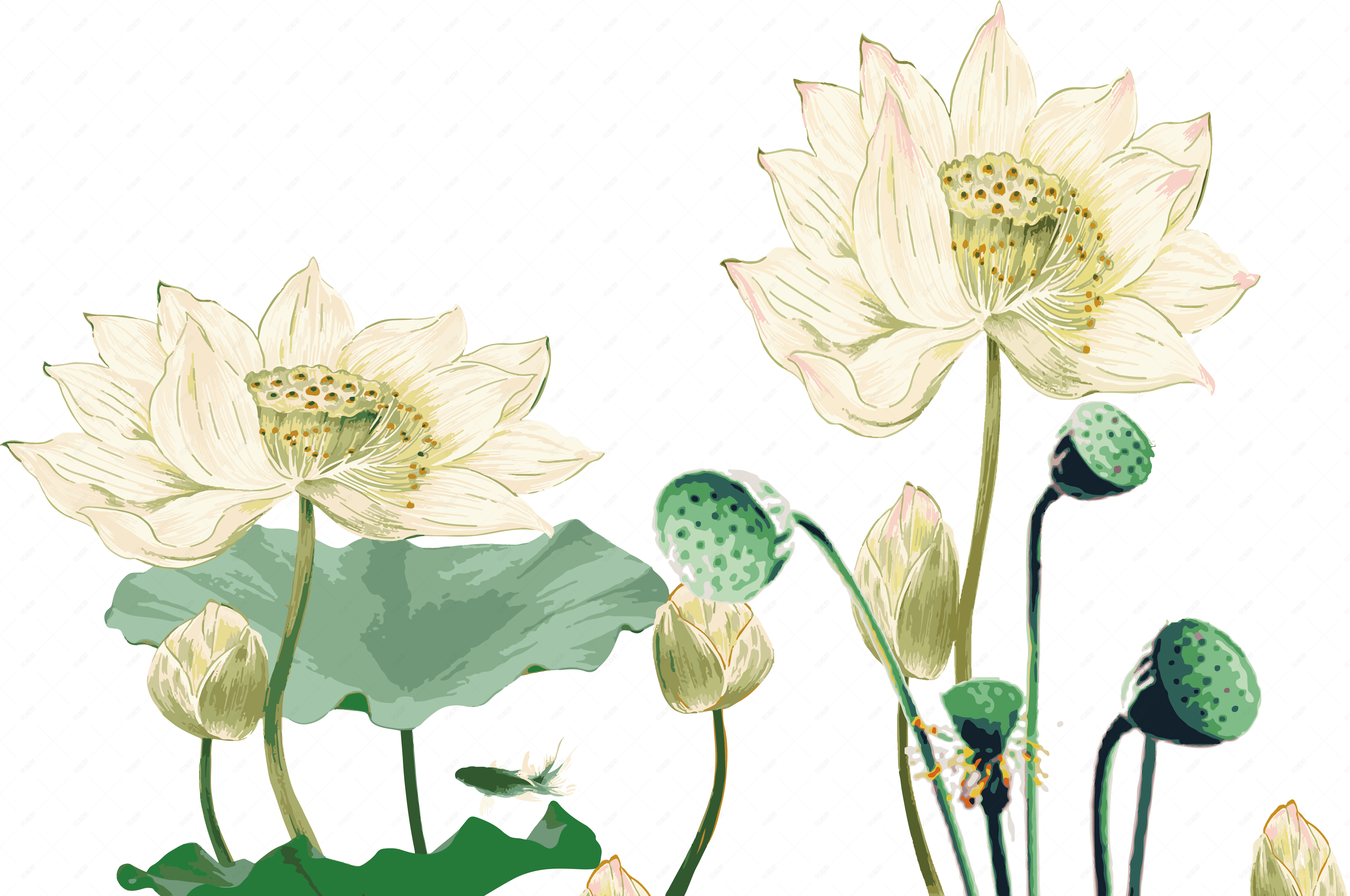 荷花莲花中国风矢量装饰图【免抠元素png】-90设计网