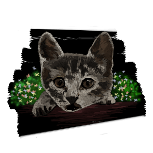 夏至猫咪透明底png图