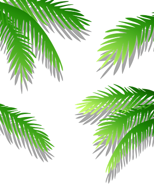 绿色png沙滩椰子油矢量椰子汁卡通手绘椰子树椰子全部