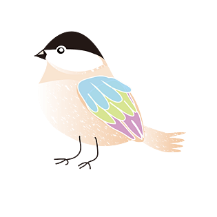 卡通可爱小鸟图片大全