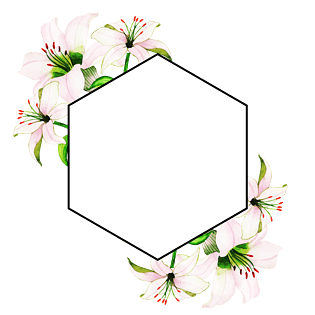 百合花图片大全 百合花图片素材 Png免费下载 90设计网