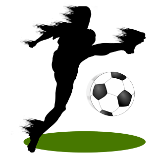 世界杯踢足球的足球运动员