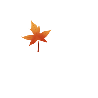 立秋枫叶素材飘落唯美