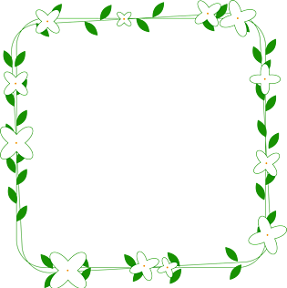 夏日清新绿色圆形可爱边框png