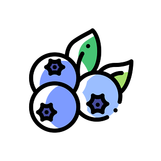 mbe风格蓝莓装饰图标
